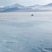 Αρκτική