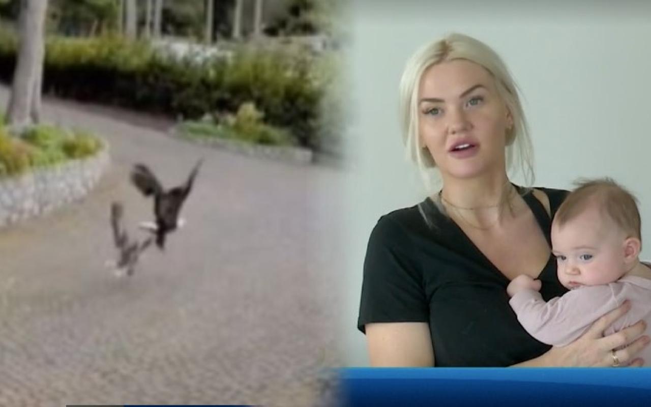 Γυναίκα σώζει την χήνα της την ώρα που την έχει αρπάξει αετός 