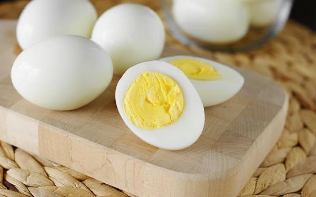αυγα