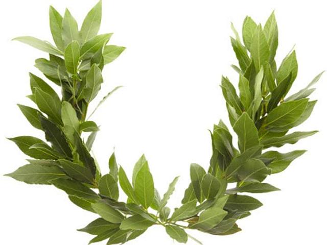 δάφνινο στεφάνι