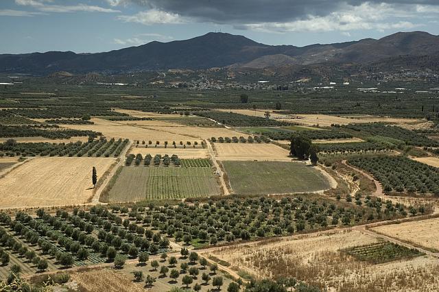 Μεσαρά