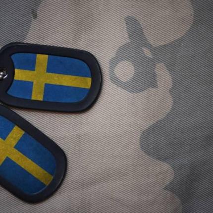 Σουηδία στρατός