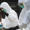 Νότια Κορέα: Ανεστάλησαν οι εισαγωγές πουλερικών από τις ΗΠΑ εξαιτίας της γρίπης των πτηνών