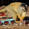 Προϊόντα μαϊμού πουλούσε 64χρονος επιχειρηματίας στα Χανιά