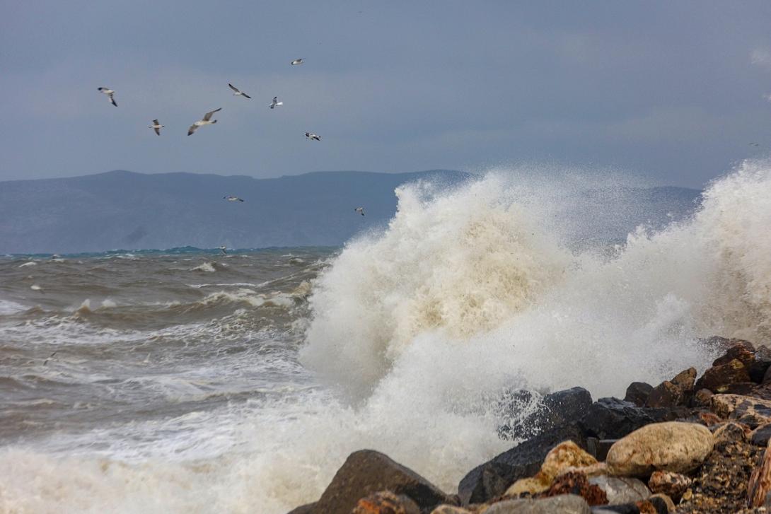 μποφόρ