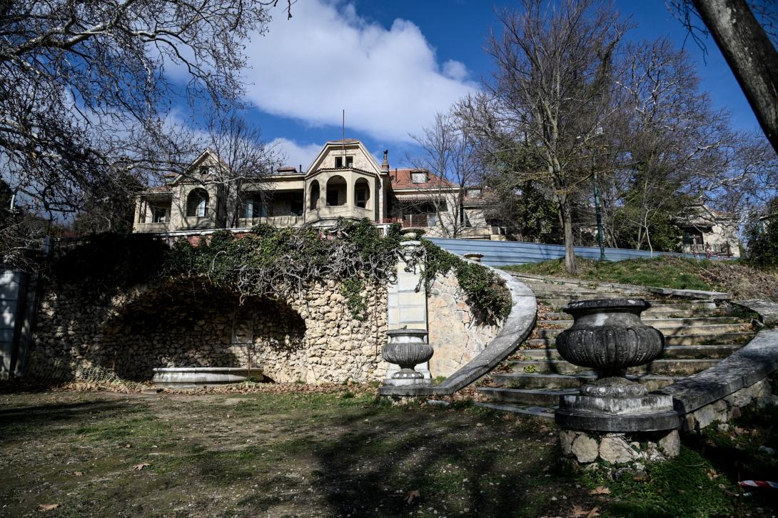 τεως βασιλιας κωνσταντινος τατόι