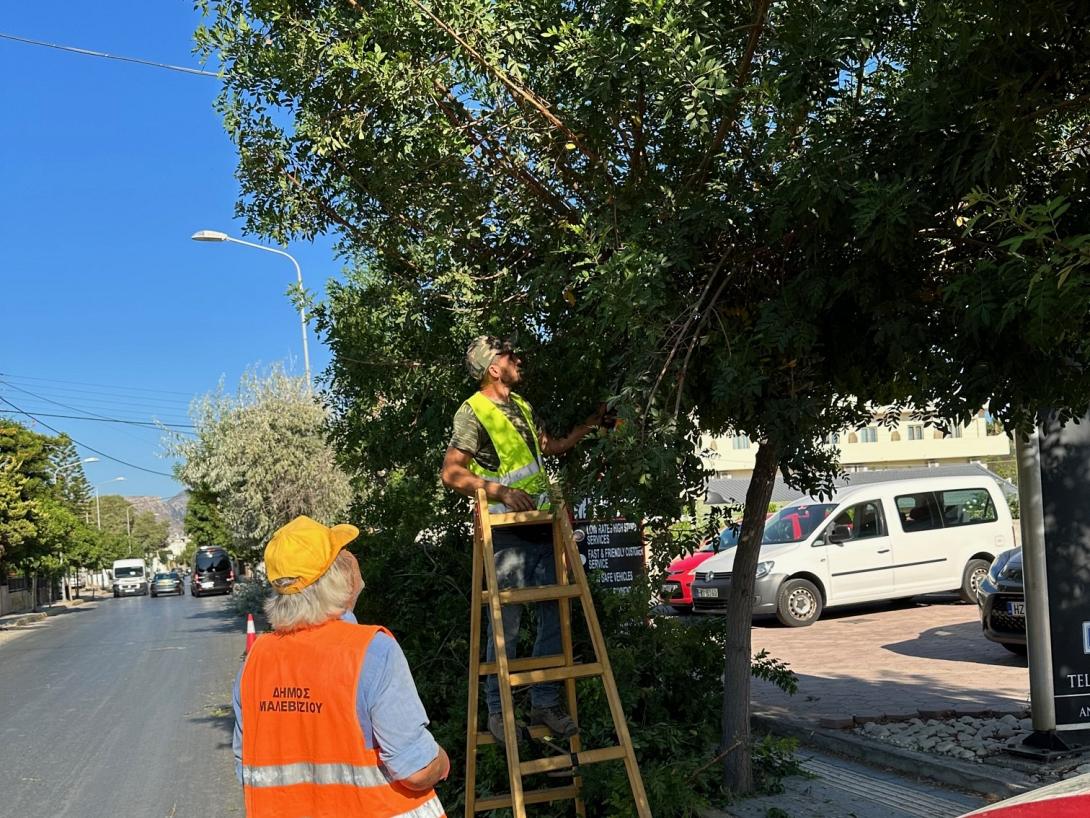 Μαλεβίζι: Εκτεταμένες δράσεις συντήρησης πρασίνου στην Αμμουδάρα