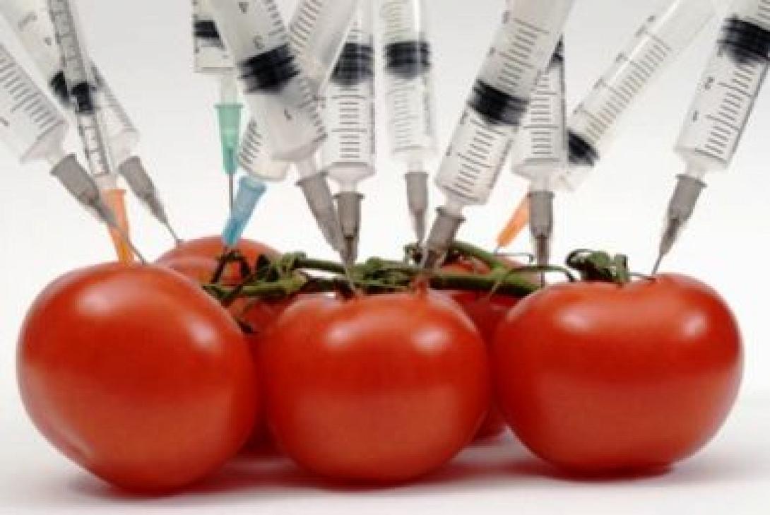 Επιστήμονες προσπαθούν να δημιουργήσουν μεταλλαγμένη ντομάτα 24ωρης έκθεσης σε τεχνητό φως